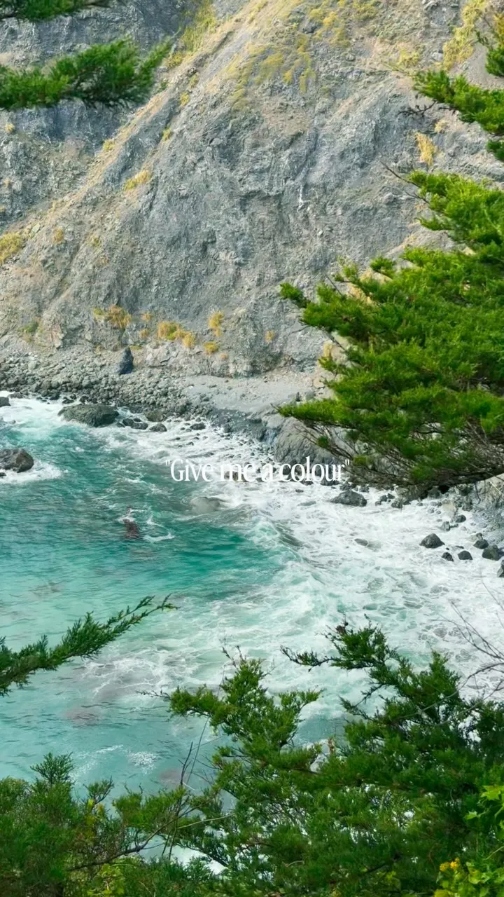 A turquoise cove seen through pine branches, waves breaking on a rocky shore.
